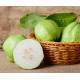  Пюре біла гуава (White guava pulp) 850 г
