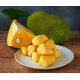 Пюре Джекфрута (Jack fruit Pulp) 850 г